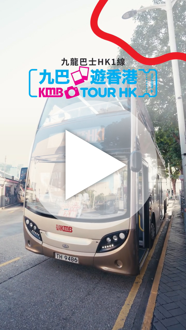 九巴遊香港