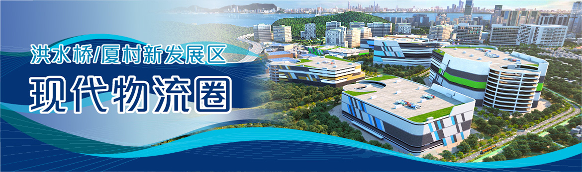 洪水桥/厦村新发展区现代物流圈 研究报告